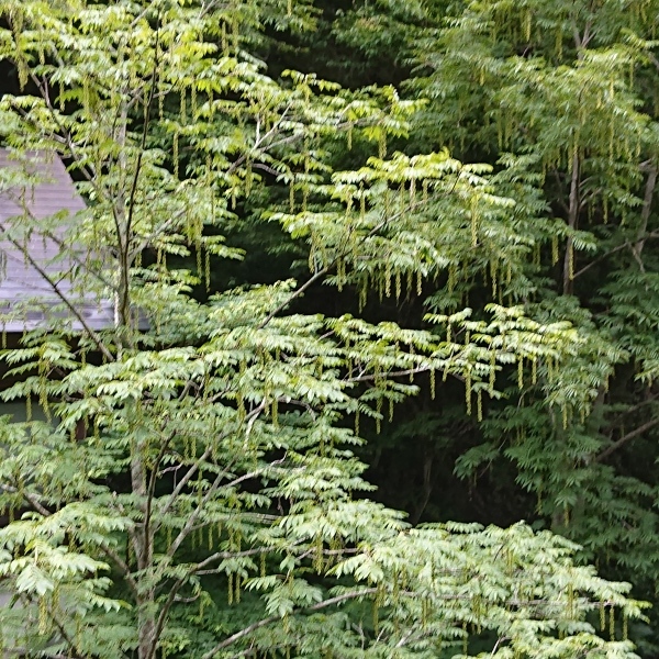 梅雨時期は温泉でさっぱり_c0213830_13562235.jpg