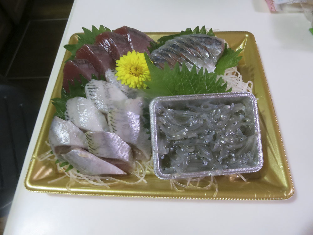 人生は楽しいⅢ+最新情報Ⅱ_e0367330_17362521.jpg