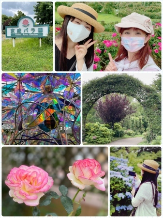 山野さと子さんと京成バラ園と富岡八幡宮_a0087471_13224138.jpeg