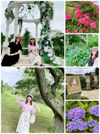 山野さと子さんと京成バラ園と富岡八幡宮_a0087471_13245454.jpeg