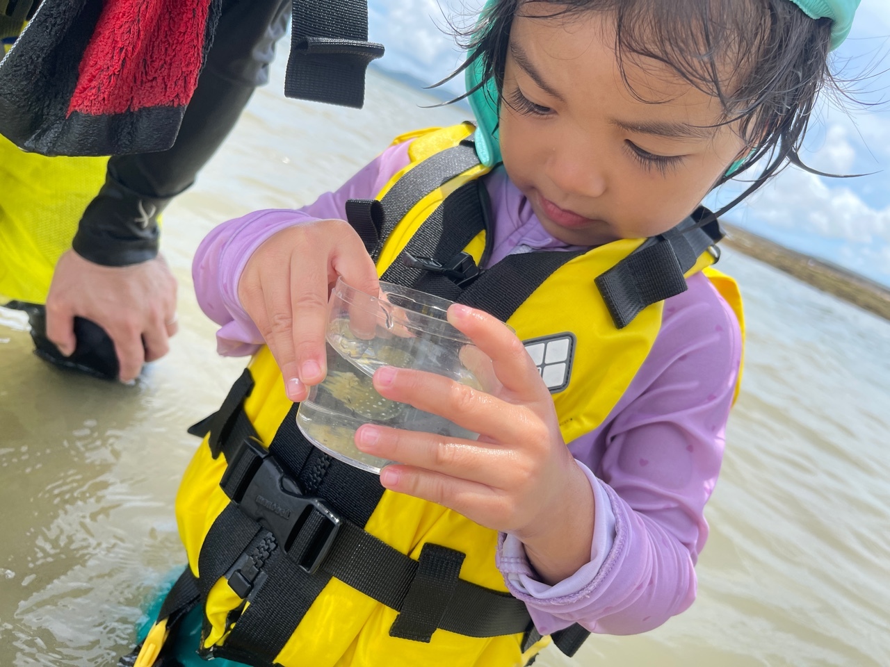 青空ようちえん〔週末〕サンゴの海あそび（7/11）大人も子どもも親子で夏の海にでかけよう！目の前を泳ぐたくさんの魚たちといっぱい遊んだ！_d0363878_19515788.jpeg