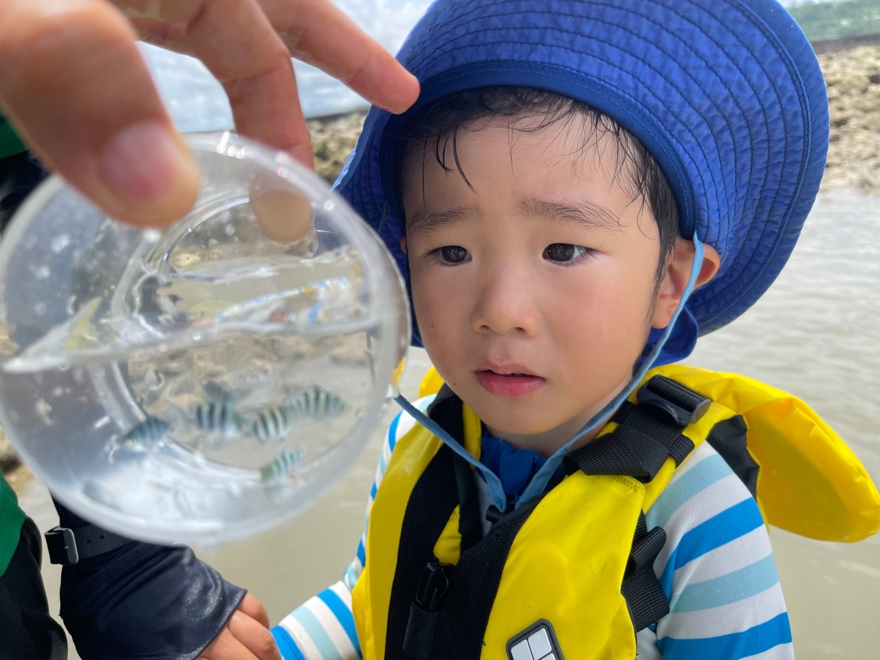 青空ようちえん〔週末〕サンゴの海あそび(7/11)大人も子どもも親子で夏の海にでかけよう!目の前を泳ぐたくさんの魚たちといっぱい遊んだ!_d0363878_19534748.jpeg