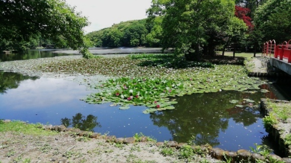 函館市 森町八雲町 長万部町 17日目_c0212083_15064099.jpg