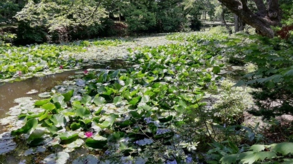 函館市 森町八雲町 長万部町 17日目_c0212083_15071385.jpg
