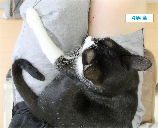 それでも愛してる ちいさなチカラ