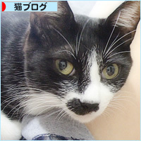 それでも愛してる_a0389088_17174937.jpg