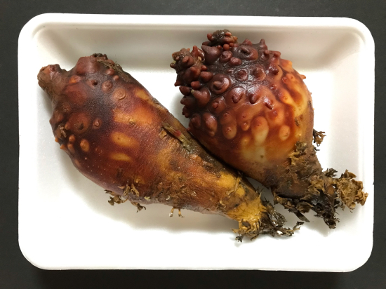 ホヤ卵 ぼっちオバサン食堂