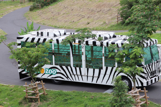獅子たちの眠りを覚ますサファリバス 帰ってきたライオンバス 多摩動物公園 続々 動物園ありマス