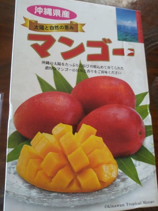 沖縄産マンゴー 意外に忙しい田舎生活 陶芸工房satoh より