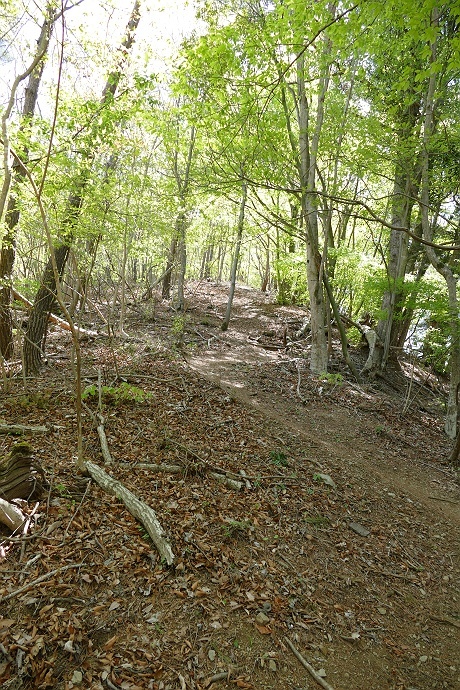 ちょっぴりこたえた百蔵山登山　その10_c0196928_08012490.jpg