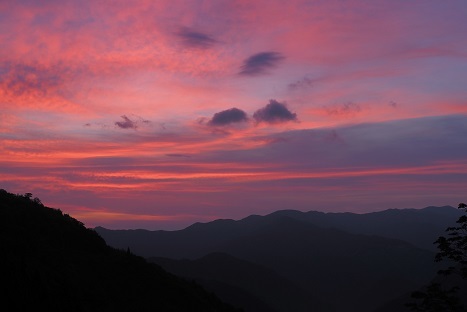 深山の純白の花　　　弥山_c0303868_03471754.jpg