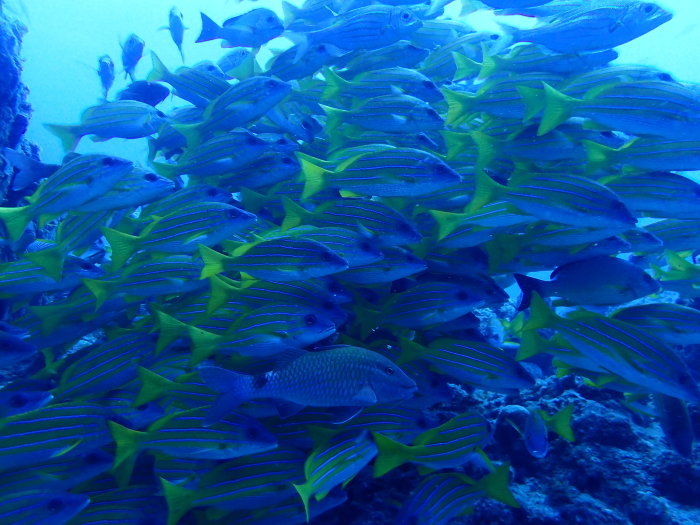 210713  大物狙い…結果は？_a0335173_17440208.jpg