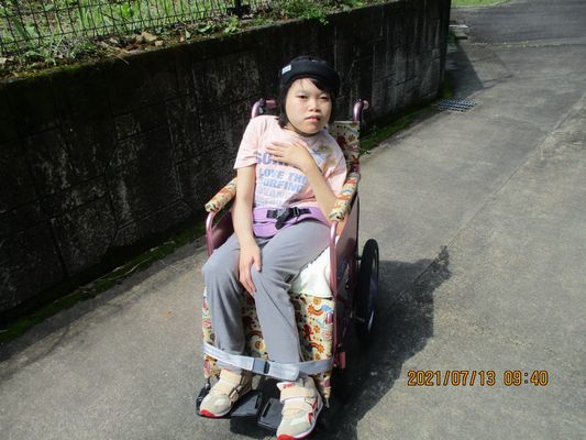 7/13裏庭散歩_a0154110_15505706.jpg