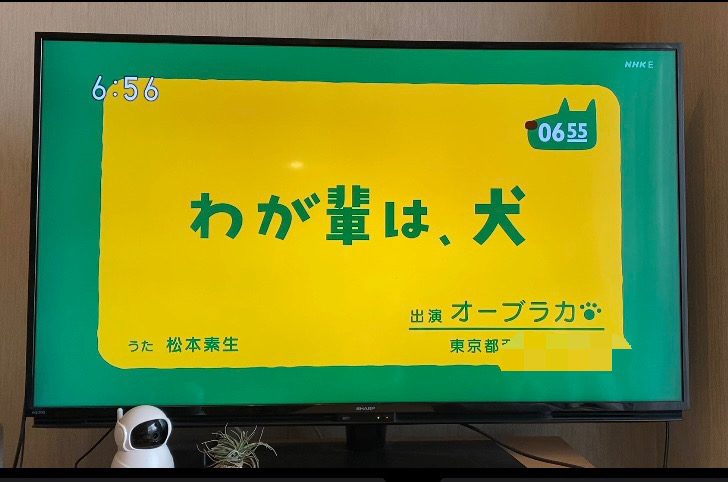 あれから10年後の「わが輩は、犬」 : オーブラカ Облако