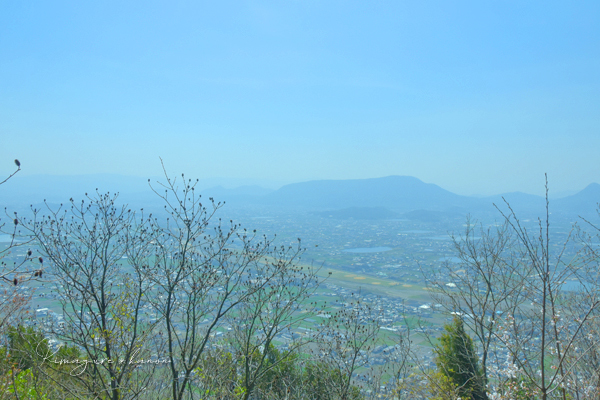 秘密の花園に魅せられて**香川・讃岐富士_b0197639_16422930.jpg