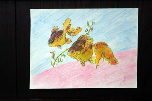 絵画会 ~ 金魚 ~_e0222340_15312069.jpg