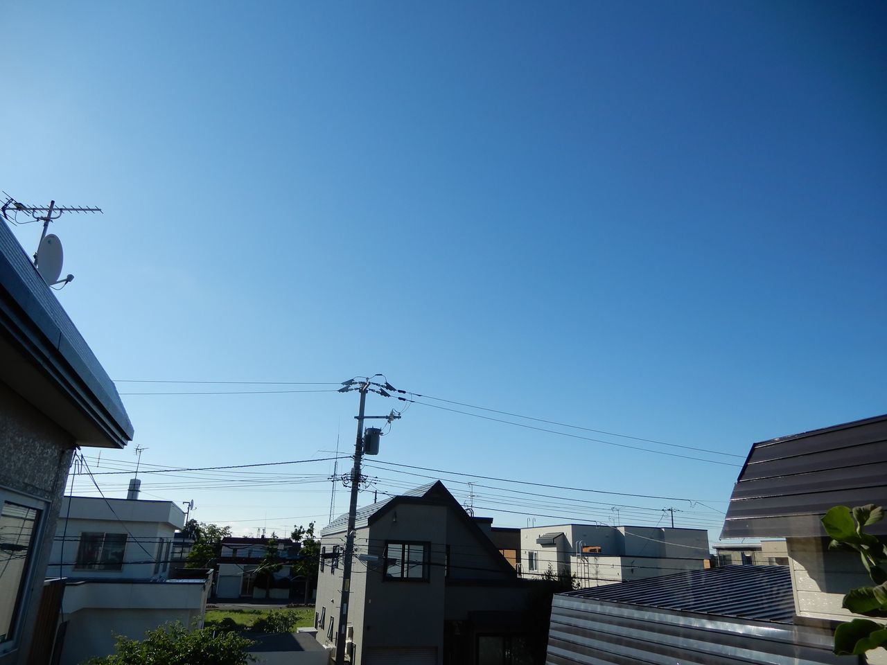 今日は真夏日になるはずだったのにまたしてもギリギリ届かず_c0025115_21535898.jpg
