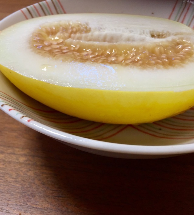 キンショーメロン 続 デコポンのきもち