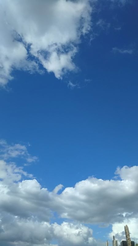 梅雨明け_c0155326_22363055.jpg