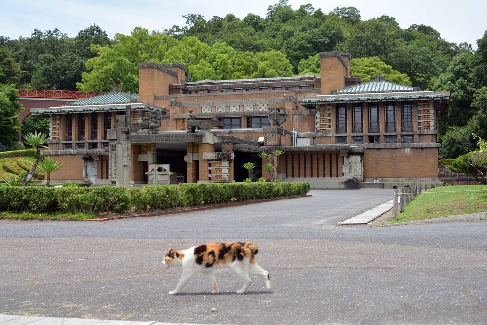 ワガハイは…_e0373930_19523854.jpg