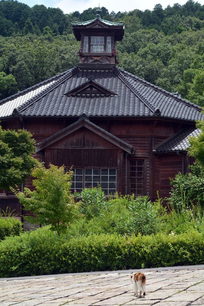 ワガハイは…_e0373930_19523897.jpg