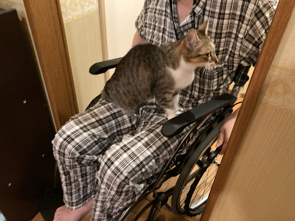 ボケてない物忘れ 両手のない猫 チビタと愉快な仲間たち