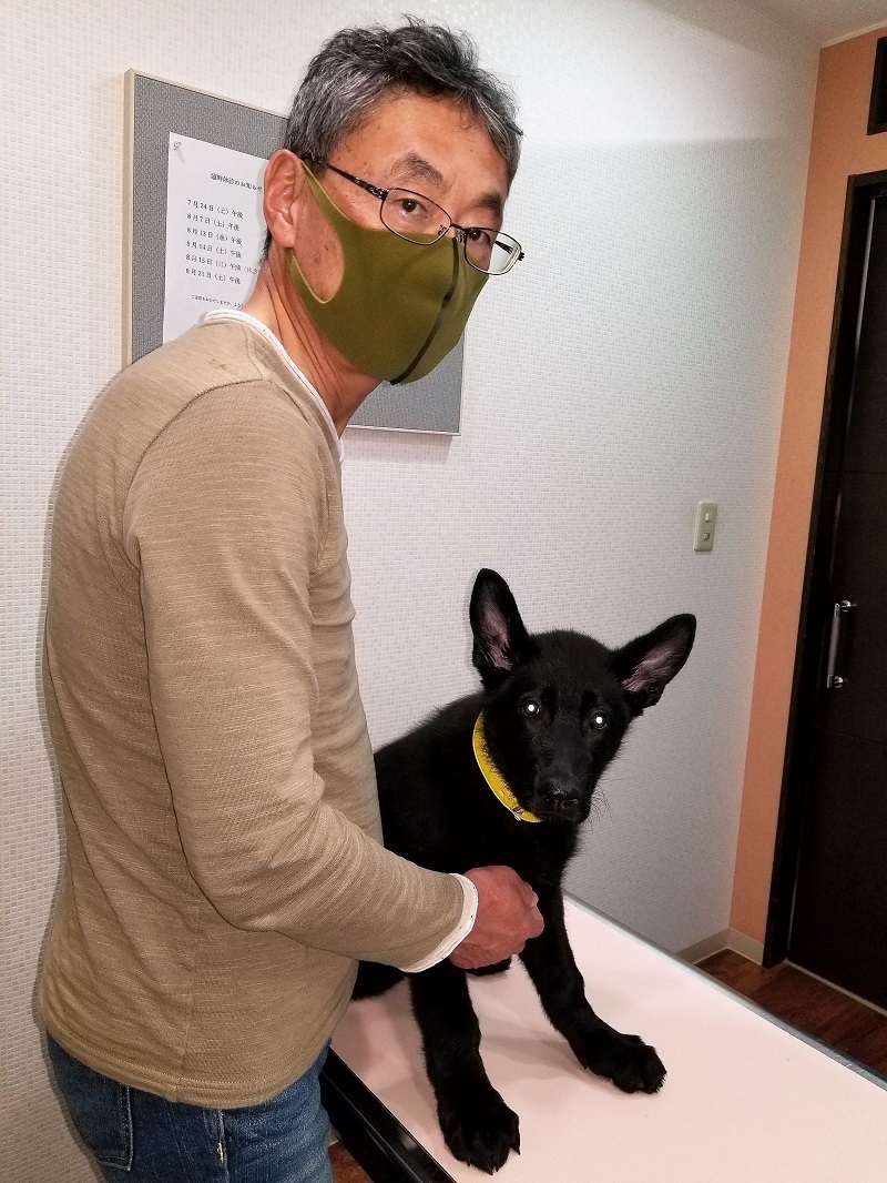 何故か_f0076731_19085315.jpg