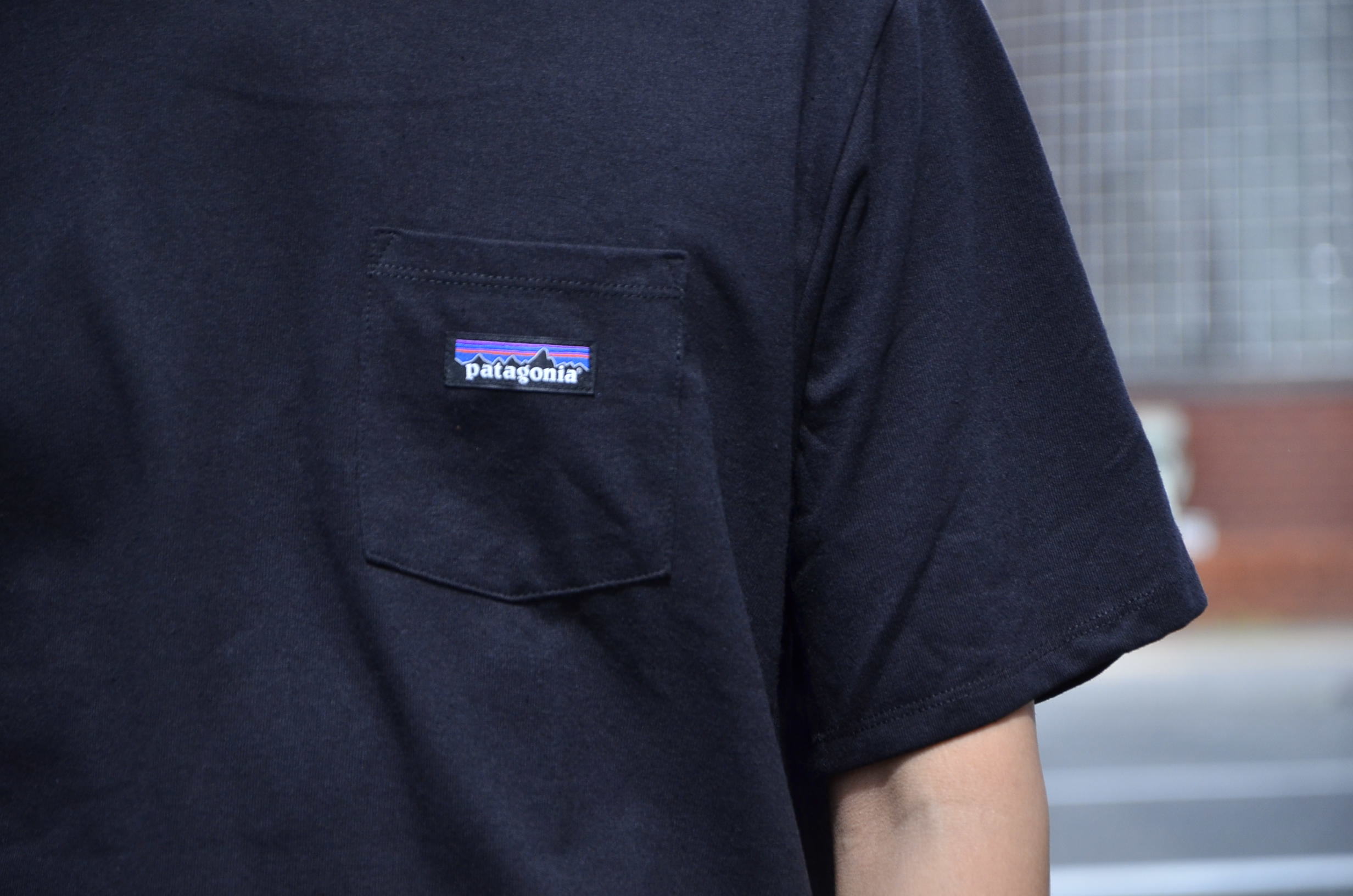 \"PATAGONIA\"<<GraceP-6 LABELR esponsibil-Tee>>着用サンプル_c0167336_16151961.jpg