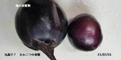 梅雨明け_c0051105_14352430.jpg