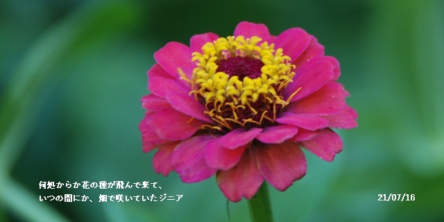 梅雨明け_c0051105_20592557.jpg