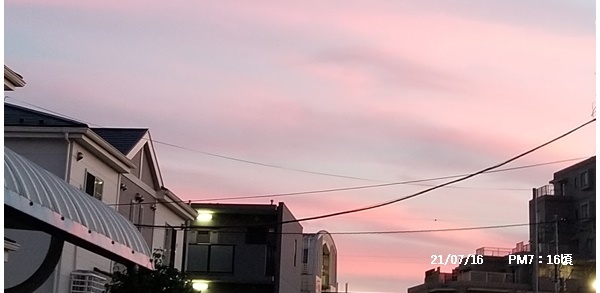 梅雨明け_c0051105_21594118.jpg
