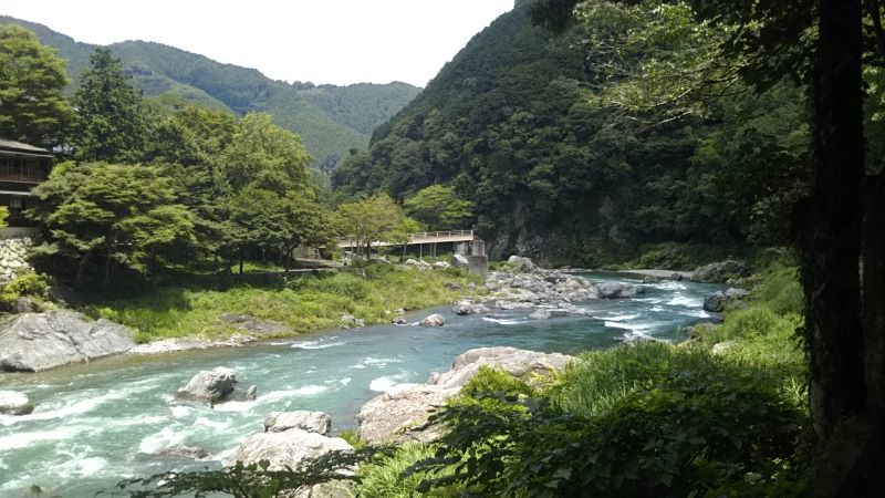 初夏の風景_c0155326_20035052.jpg