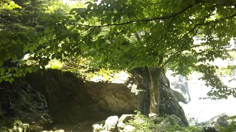 初夏の風景_c0155326_20054402.jpg