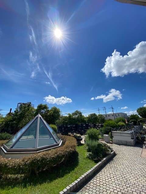 晴天☀_b0263390_15181239.jpg