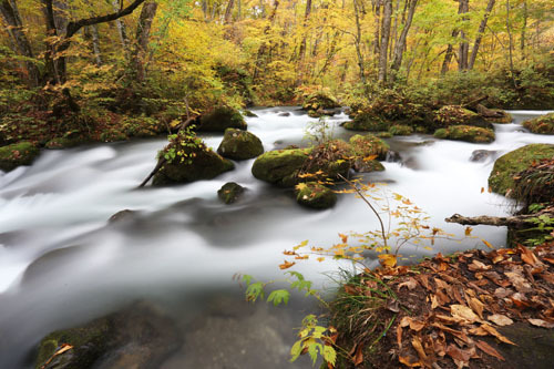 渓流 奥入瀬渓流｜新緑・紅葉・氷瀑を巡る四季の絶景トレイル | 青森県