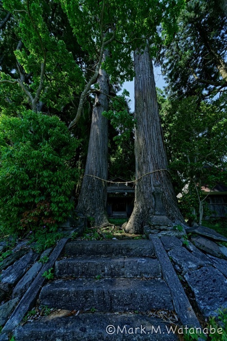 蔵園大神宮の鳥居_e0135098_06473291.jpg
