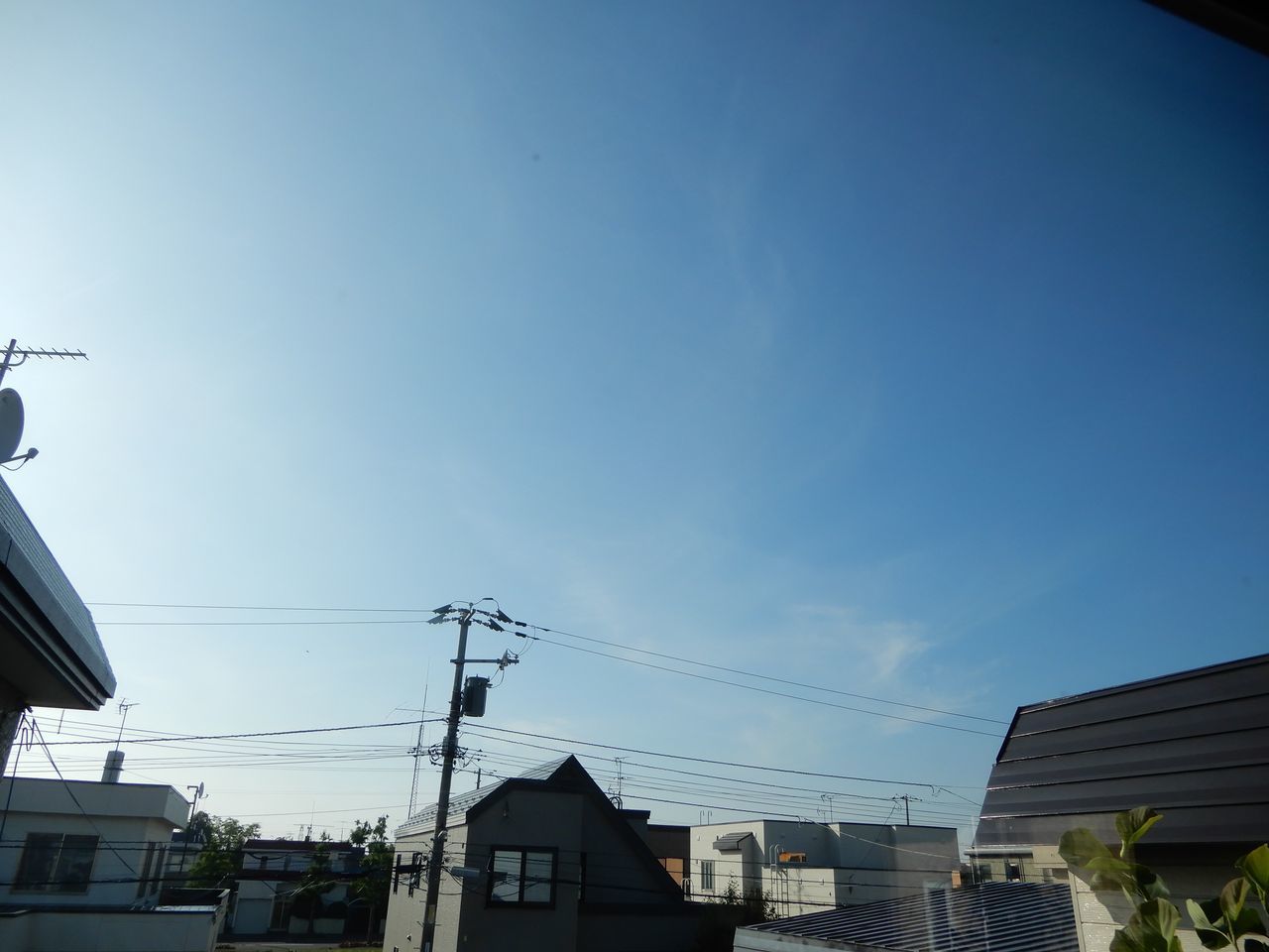 今日も暑かった_c0025115_21554242.jpg