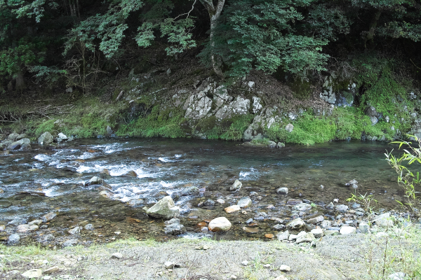 晴れ・・新旭・中村農園のスイカ　　　朽木小川・気象台より_c0044819_08073561.jpg