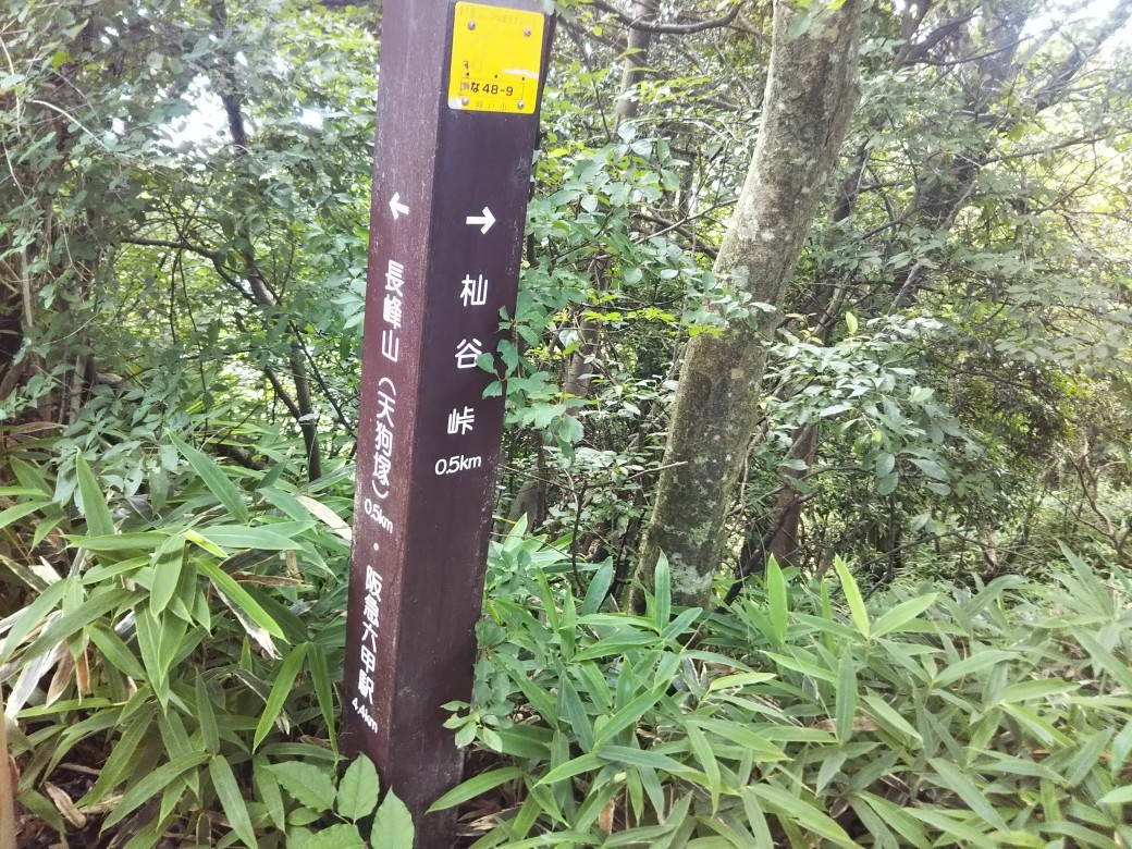 山羊戸渡_c0218841_20245318.jpg