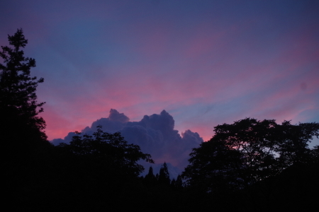 梅雨明け、夕焼け、蝉時雨_f0114346_06415130.jpg