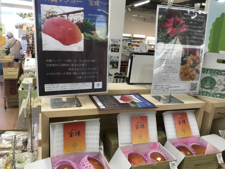 大洗まいわい市場 マンゴー入荷しました!_a0283448_11470079.jpeg