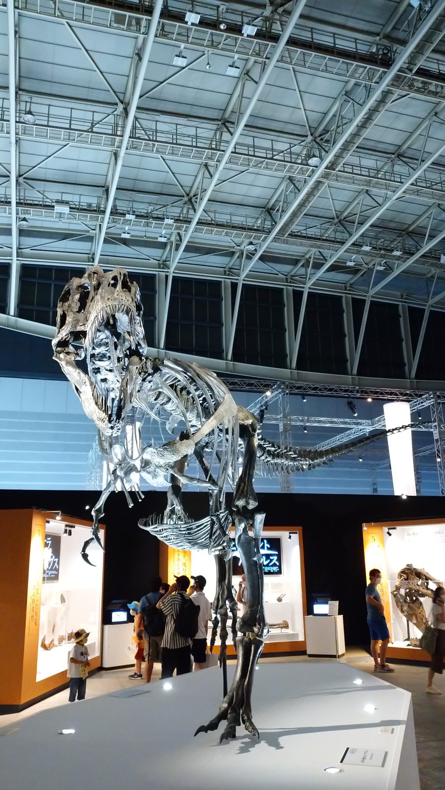 トリケラトプス「レイン」のほぼ完全な全身骨格化石をDinoScience 恐竜科学博 ～ララミディア大陸の恐竜物語～@パシフィコ横浜でみた！_c0002171_23354668.jpg