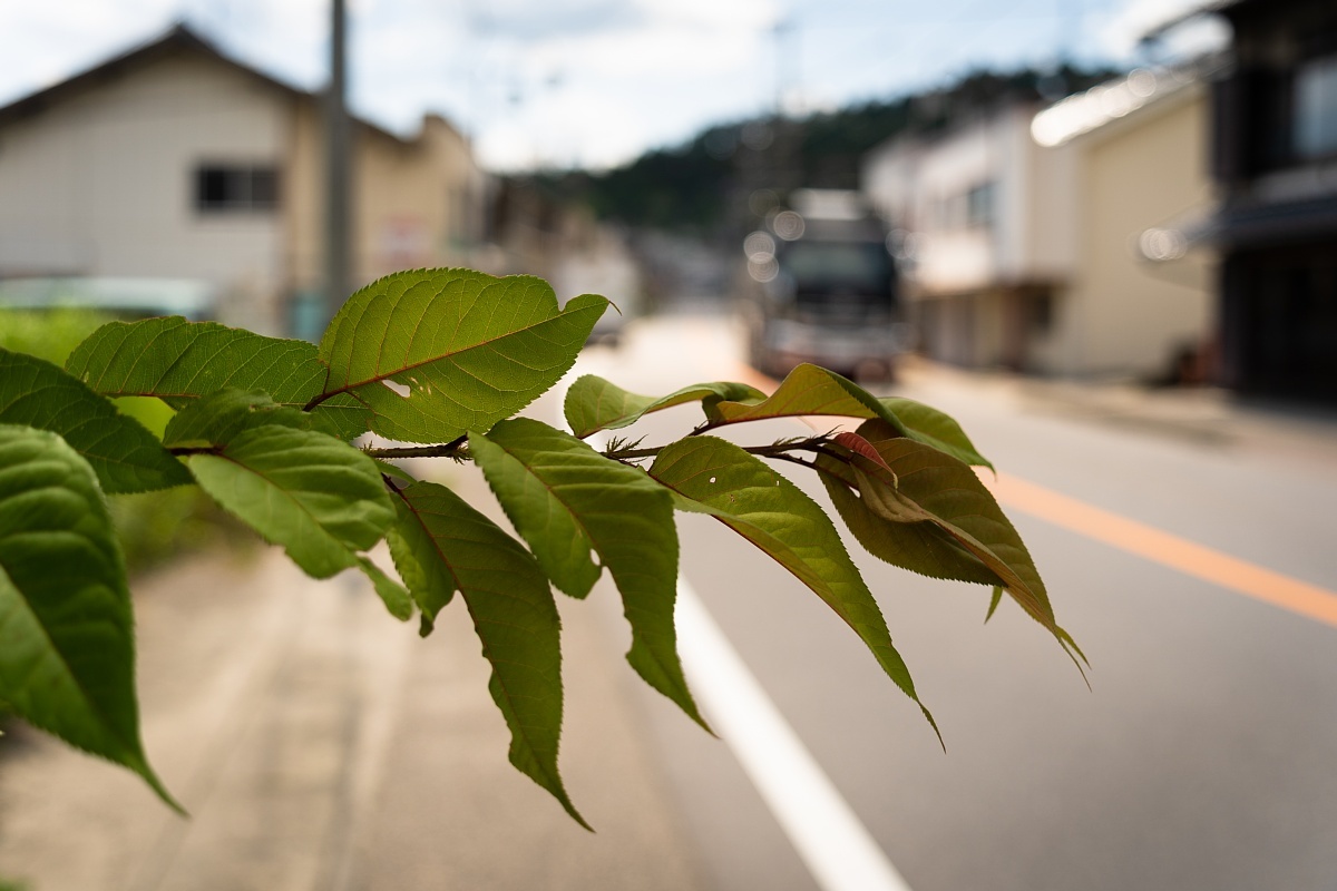 奥三河の中心地にて_d0353489_18381759.jpg