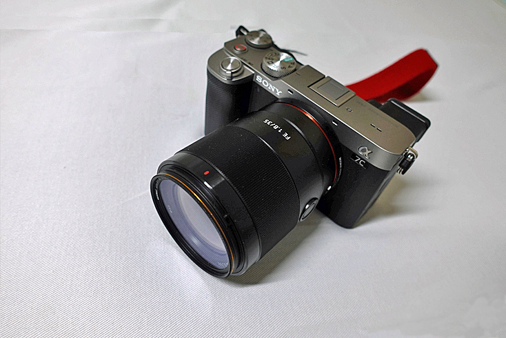FE 40mm F2.5 G ～ マップカメラとの攻防 ～ : A Story of A