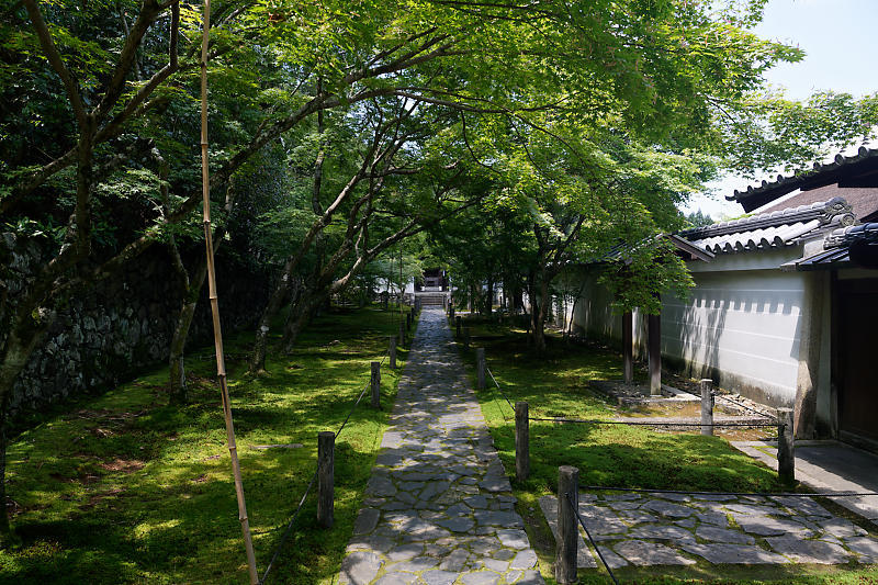 咲き急ぐ花達 皐月@一休寺_f0032011_18052407.jpg
