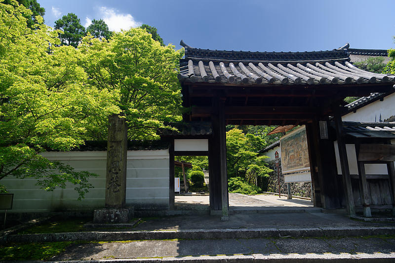 咲き急ぐ花達 皐月@一休寺_f0032011_18052559.jpg