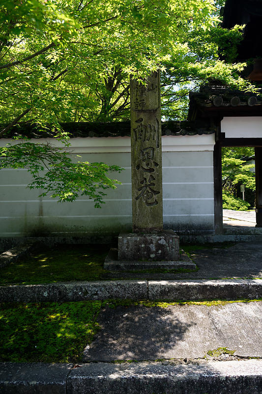 咲き急ぐ花達 皐月@一休寺_f0032011_18052589.jpg