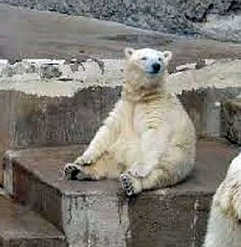 レニングラード動物園のホッキョクグマ飼育・繁殖の歴史 ～ 戦前