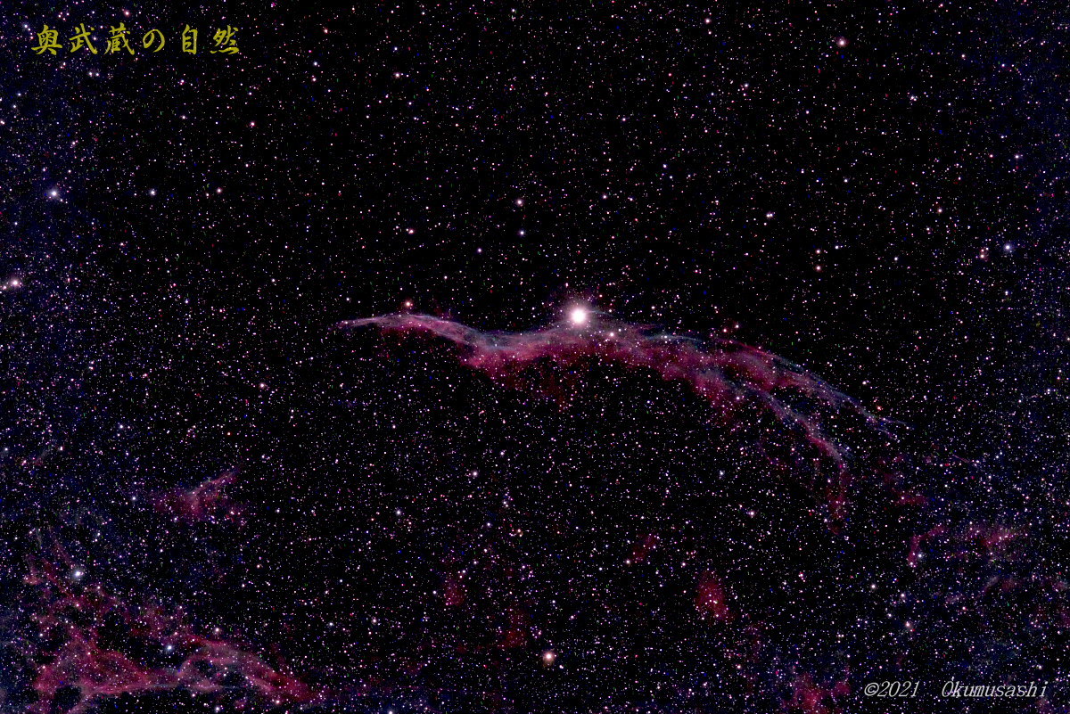 網状星雲＜NGC6960 NGC6992-5＞ : 奥武蔵の自然