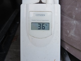 33℃でまだマシなのかも・・・_b0405523_10330534.jpg